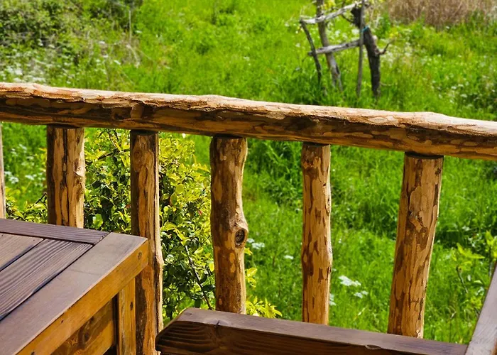 بيت ضيافة Hani I Ilirit